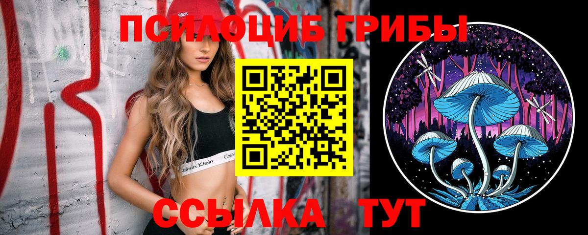 Урюпинск  Галлюциногенные грибы мицелий  Вход с VPN  Псилоцибиновые грибы мицелий 