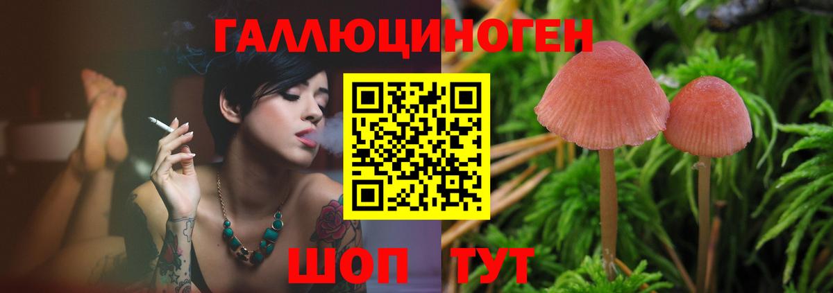 Псилоцибиновые грибы MAGIC MUSHROOMS Урюпинск