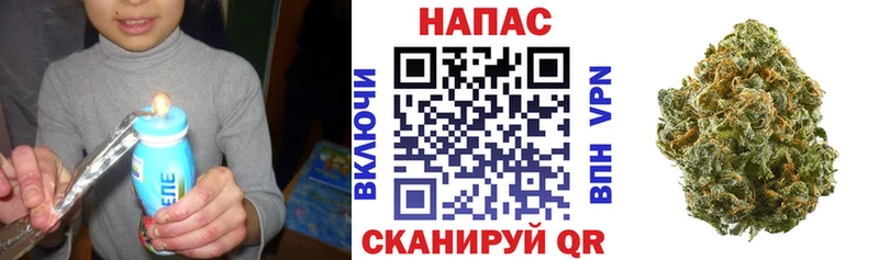хочу наркоту  Урюпинск  Бошки Шишки Amnesia 